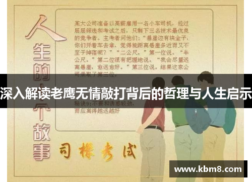 深入解读老鹰无情敲打背后的哲理与人生启示